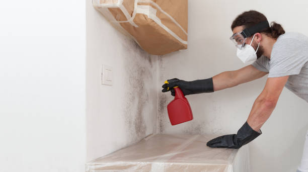 Professional Mold Remediation technician working in Topinabee, MI